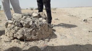 सुझानगढ़ रियासतकालीन सीमा सिंह